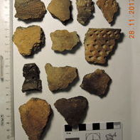 Исследование фрагментов керамических сосудов из археологического собрания ТОКМ