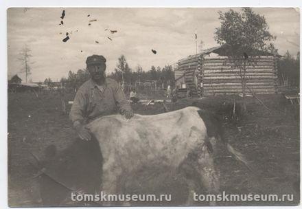 Фотография. Залесский Сергей Михайлович рядом с коровой в с. Наканне