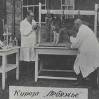 Фотокопия. Эксперимент на собаке проводят профессор И.С. Розенталь и доцент Д.Д. Яблоков (с фотографии 1930-х годов).