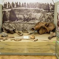 Экскурсия «Кулайская археологическая культура»