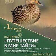 Животный мир Томской области