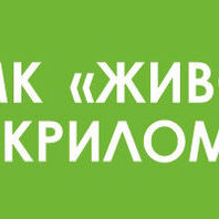 Приглашаем на семейную программу «В стране волшебных часов»