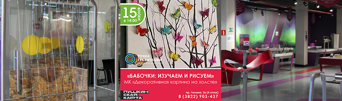 Программа "Бабочки: изучаем и рисуем" (МК декоративная картина "Бабочки")