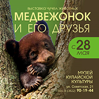 Выставка «Медвежонок и его друзья»