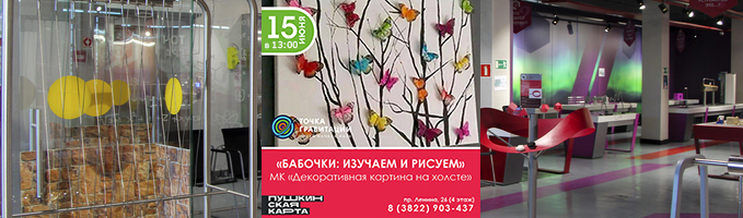 Программа "Бабочки: изучаем и рисуем" (МК декоративная картина "Бабочки")