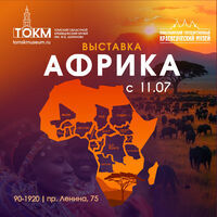 Выставка «Африка»