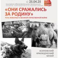 Культурно-образовательная программа «Мебель из Дворца»