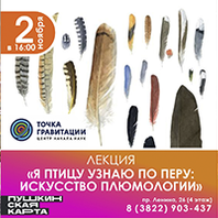 Приглашаем на Культпросвет по теме «Животный мир наличников»
