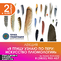 Лекция "Я птицу узнаю по перу: искусство плюмологии"
