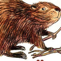 Квест «Следопыты идут по следу»