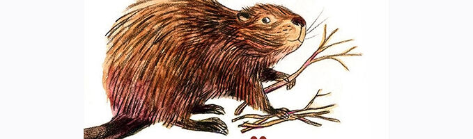 «Бобренок приглашает» 3+