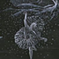 Выставки 2 этажа