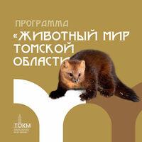 Культурно-образовательная программа «Животный мир Томской области»