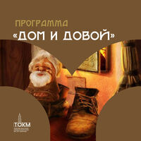 Программа «Дом и домовой»