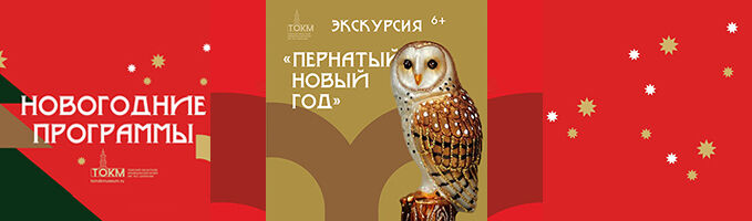 Программа «Пернатый Новый Год»