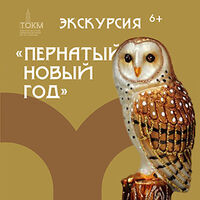 Программа «Пернатый Новый Год»