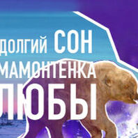 Экскурсия «Томичи в специальной военной операции»