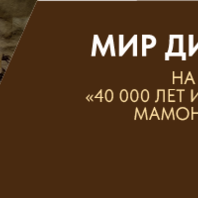 Квест «Музейный калейдоскоп»