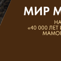 Квест «Музейный калейдоскоп»