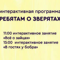 Цифровая полнокупольная программа
